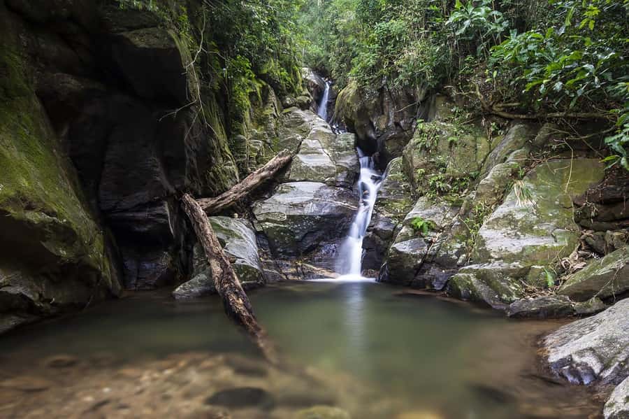 Rio de Janeiro: Tijuca National Park & Botanic Garden Tour - Key points at a glance
