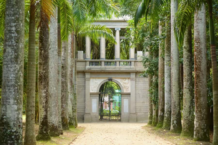 Rio de Janeiro: Tijuca National Park & Botanic Garden Tour - A rainforest in the middle of Rio