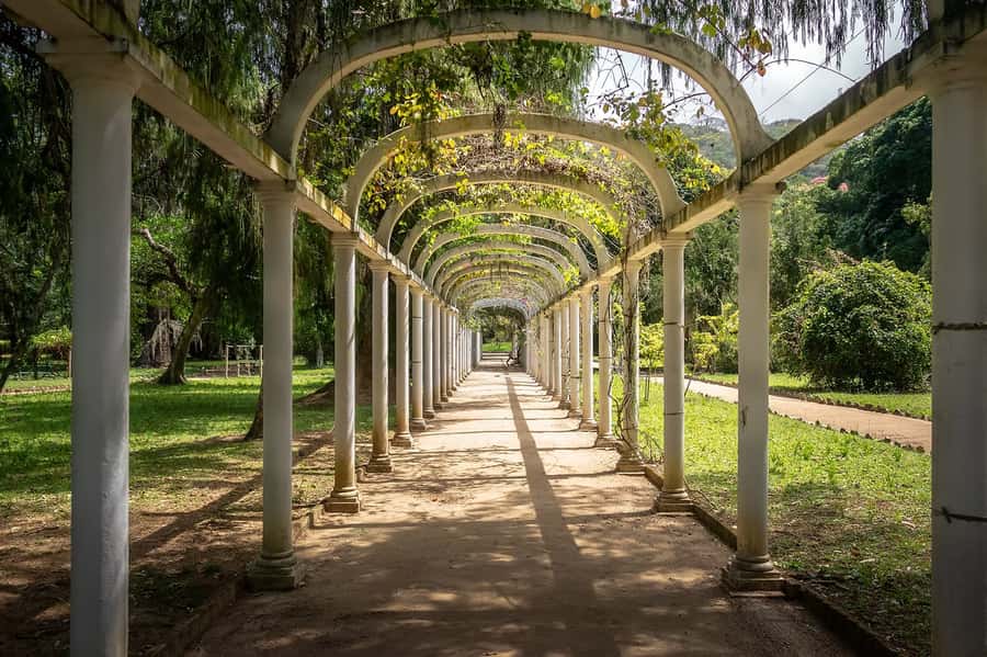 Rio de Janeiro: Tijuca National Park & Botanic Garden Tour - Taunay Waterfall and the Mayrink Chapel
