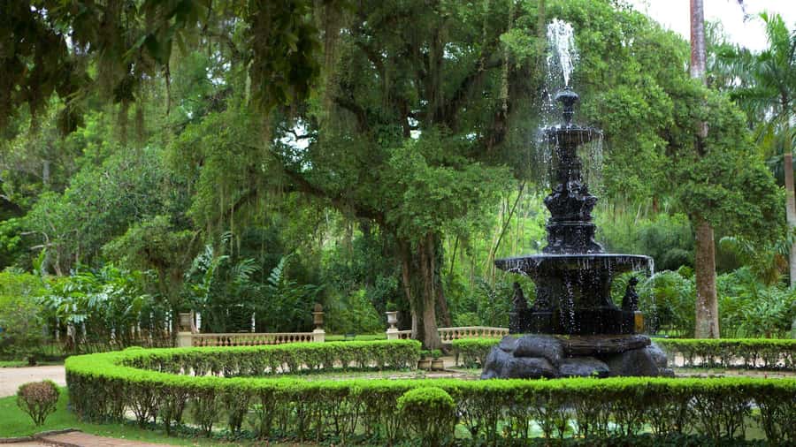 Rio de Janeiro: Tijuca National Park & Botanic Garden Tour - The four-hour route, step by step