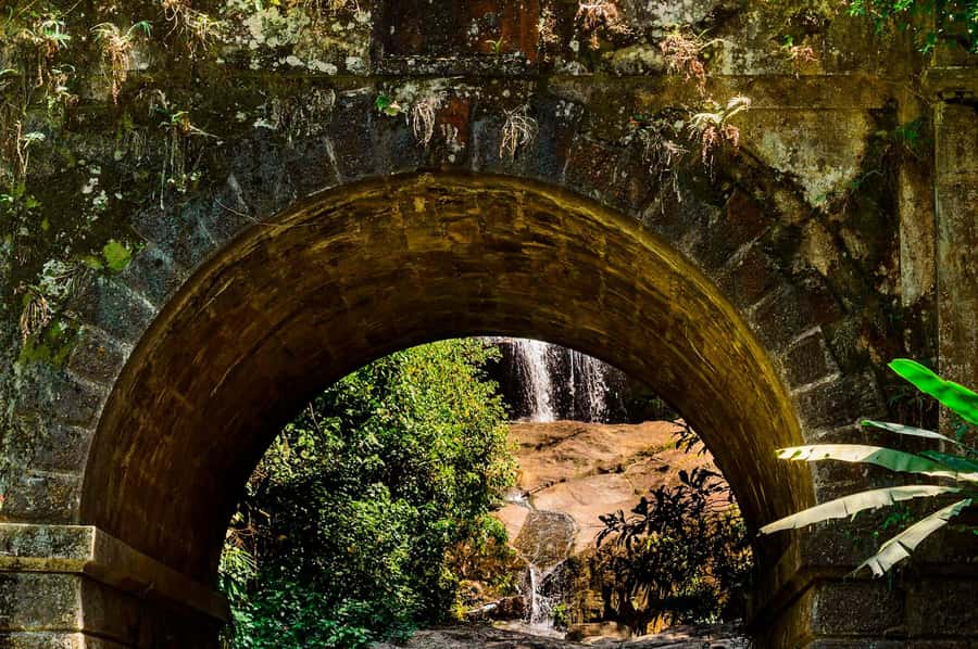 Rio de Janeiro: Tijuca National Park & Botanic Garden Tour - What happens if Tijuca is closed