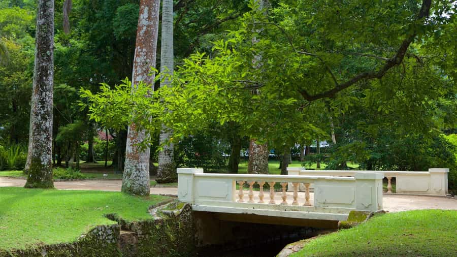 Rio de Janeiro: Tijuca National Park & Botanic Garden Tour - Is $65 a fair price?