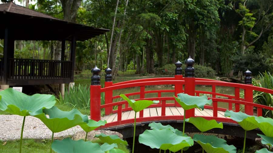 Rio de Janeiro: Tijuca National Park & Botanic Garden Tour - Who will enjoy this tour most