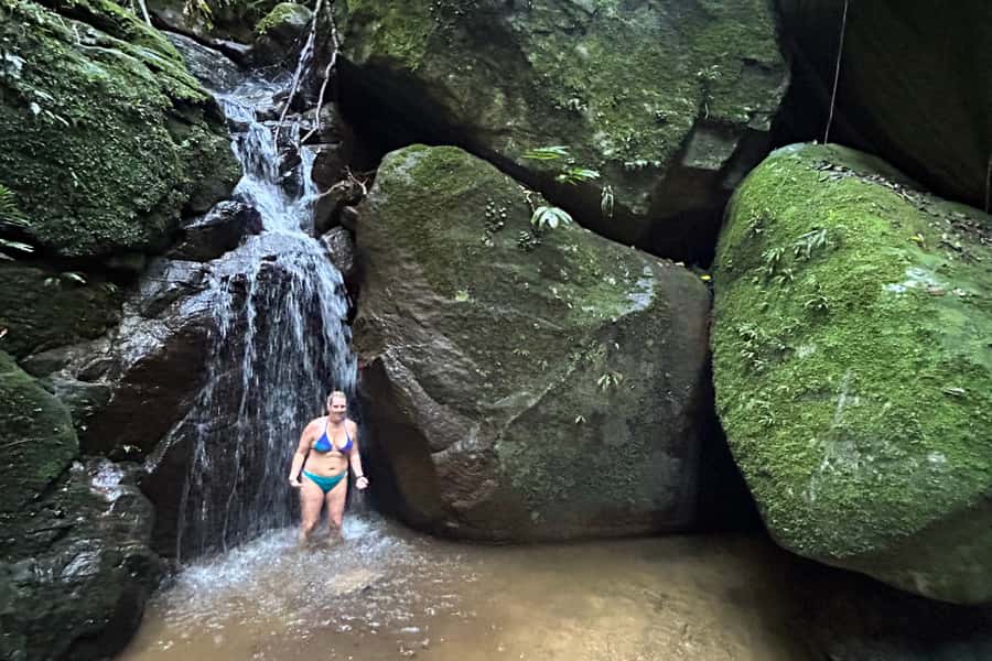 Rio de Janeiro: Tijuca National Park Tour - What the $79 price covers