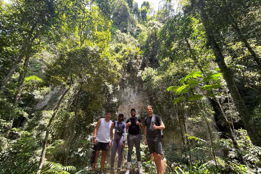 Rio de Janeiro: Tijuca National Park Tour - Forest paths, plants, and small animals