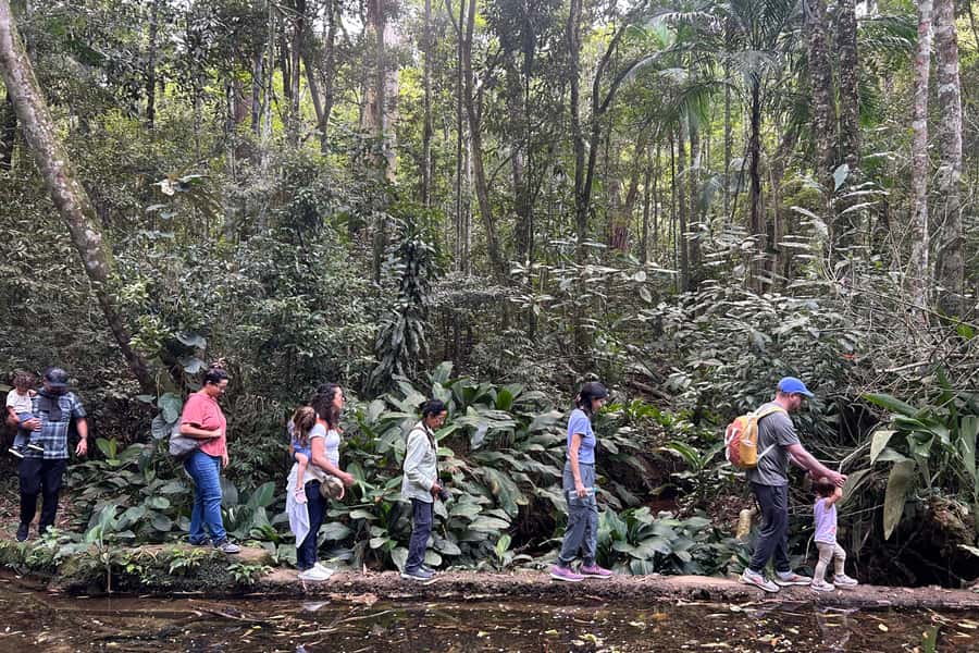 Rio de Janeiro: Tijuca National Park Tour - From your hotel to the forest at 7:30 AM
