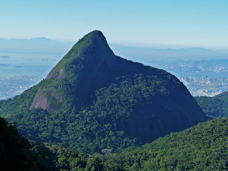 Rio de Janeiro: Tijuca Peak Guided Hike - Why This Rio Hike Is More Than a Summit Walk