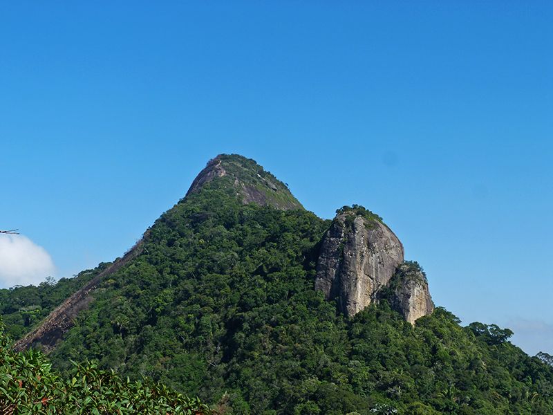 Rio de Janeiro: Tijuca Peak Guided Hike - Cachoeira das Almas Gives the Hike a Natural Break