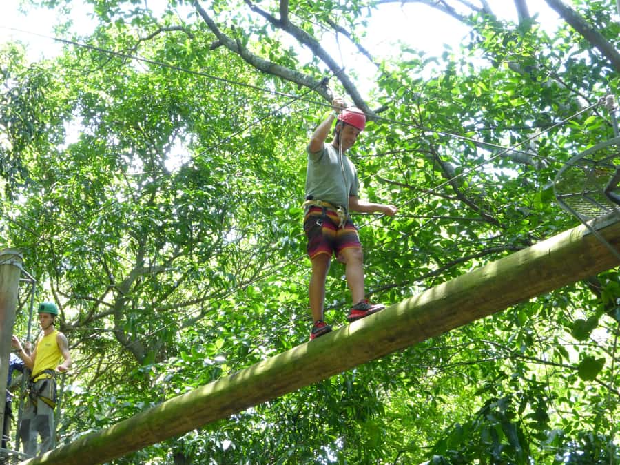 Rio de Janeiro: Zip Lining and Canopy Tree Tour - A quick trip from Rio’s hotels to Catacumba Park