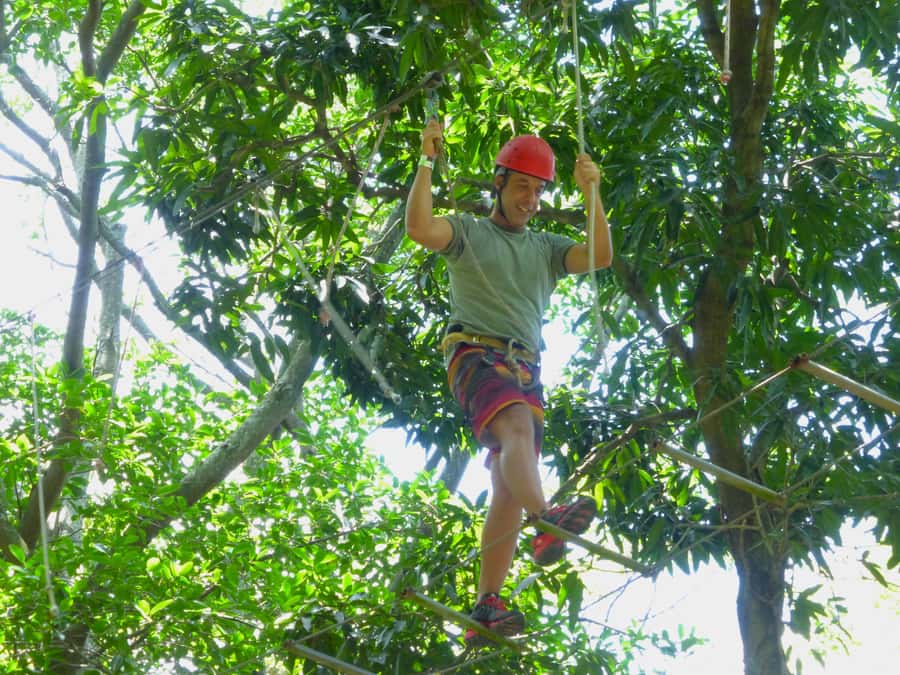 Rio de Janeiro: Zip Lining and Canopy Tree Tour - Platforms, climbing obstacles, and the canopy circuit