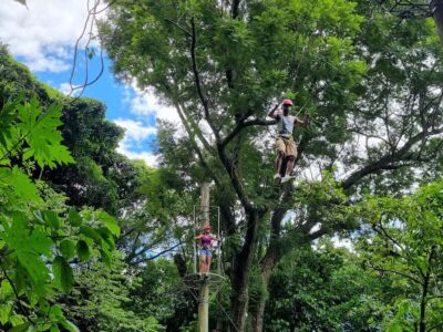 Zip Lining and Canopy Tree Tour