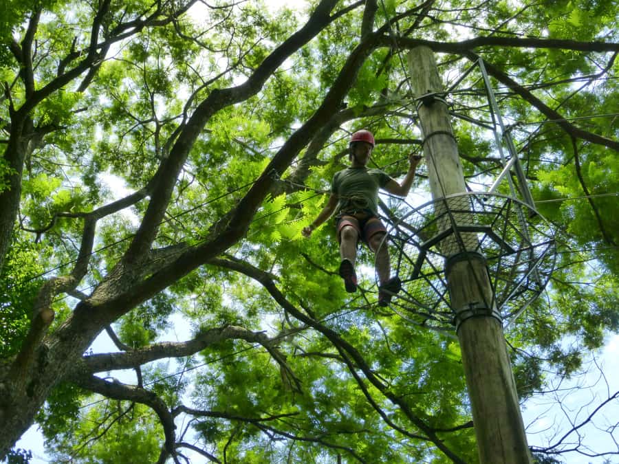 Rio de Janeiro: Zip Lining and Canopy Tree Tour - The 30-minute zipline finish