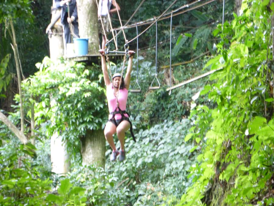 Rio de Janeiro: Zip Lining and Canopy Tree Tour - Guides, languages, and the human side of the tour
