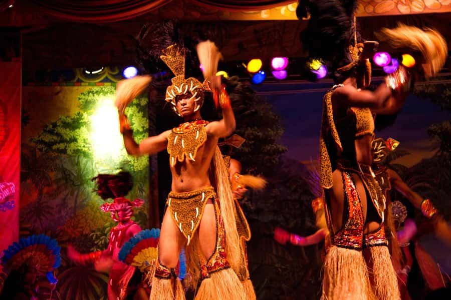 Rio: Ginga Tropical Folkloric Show & Optional Dinner - What happens during the performance