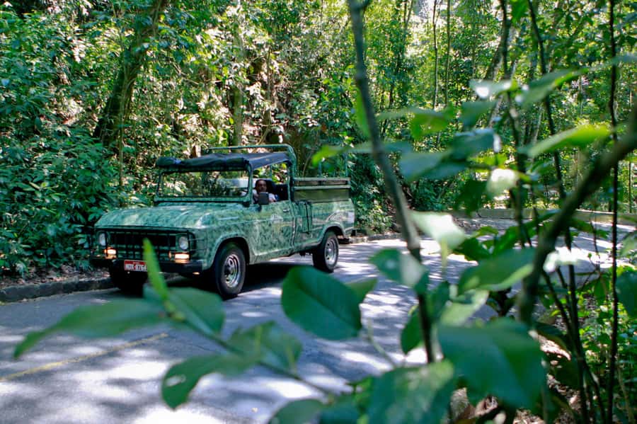 Rio: Half-Day Jeep Tour at Floresta da Tijuca - Key points to know before booking