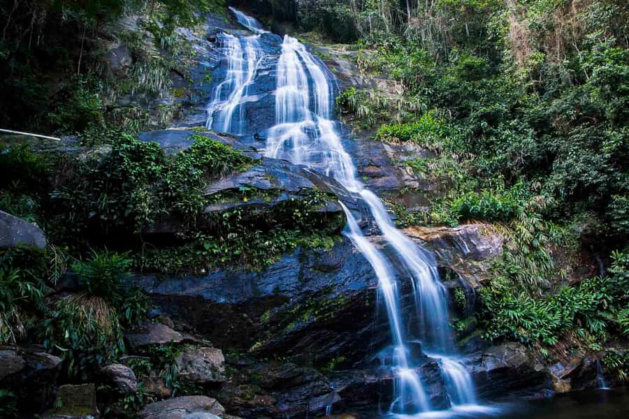 Rio: Half-Day Jeep Tour at Floresta da Tijuca - What the guides add to the experience