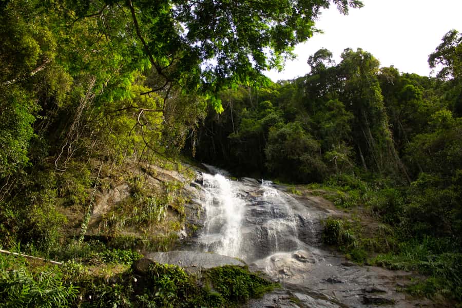 Rio: Half-Day Jeep Tour at Floresta da Tijuca - Cascatinha Taunay and the possible waterfall swim