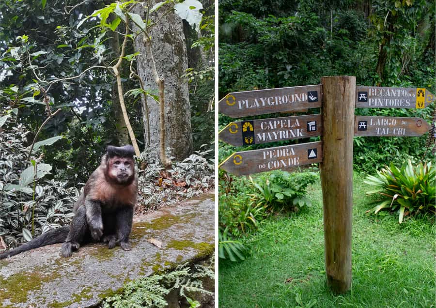 Rio: Half-Day Jeep Tour at Floresta da Tijuca - The second trail and the sounds of Atlantic forest