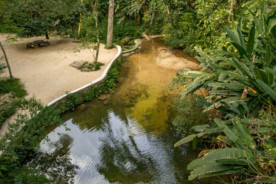 Rio: Half-Day Jeep Tour at Floresta da Tijuca - São Conrado Beach and the final scenic drive