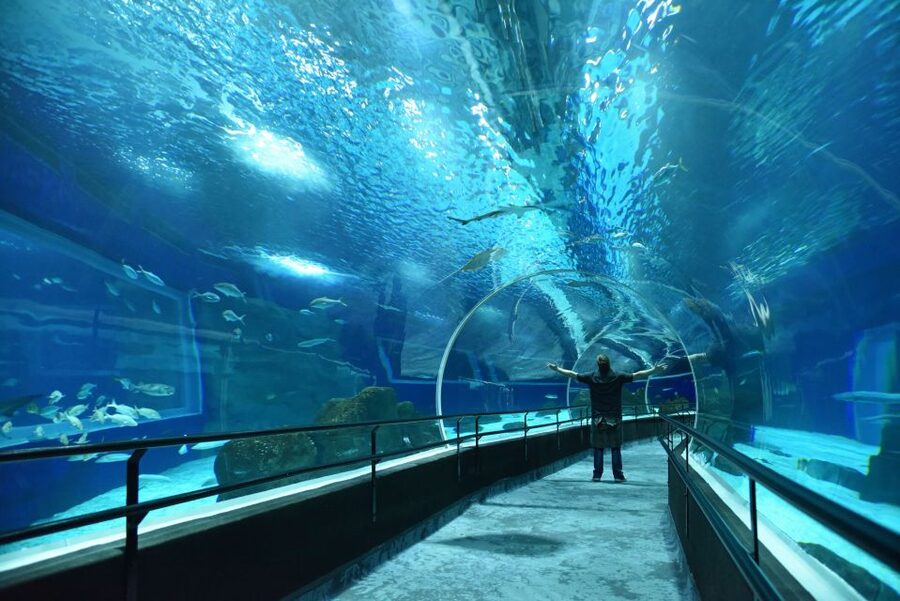 Rio: Olympic Boulevard, AquaRio and Museum of Tomorrow Tour - Inside the Museum of Tomorrow