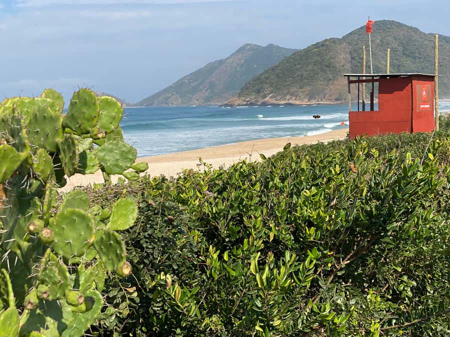 Rio: Pedra do Telégrafo Hiking & Relax in a Wild Beach - What the $76 price covers