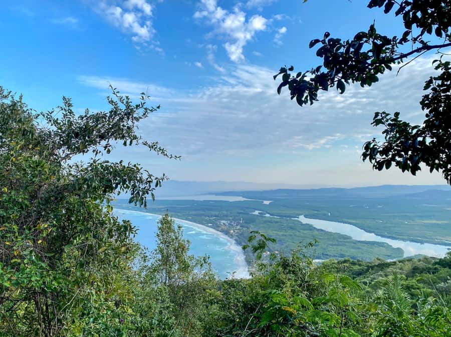 Rio: Pedra do Telégrafo Hiking & Relax in a Wild Beach - The forest climb through Pedra Branca State Park