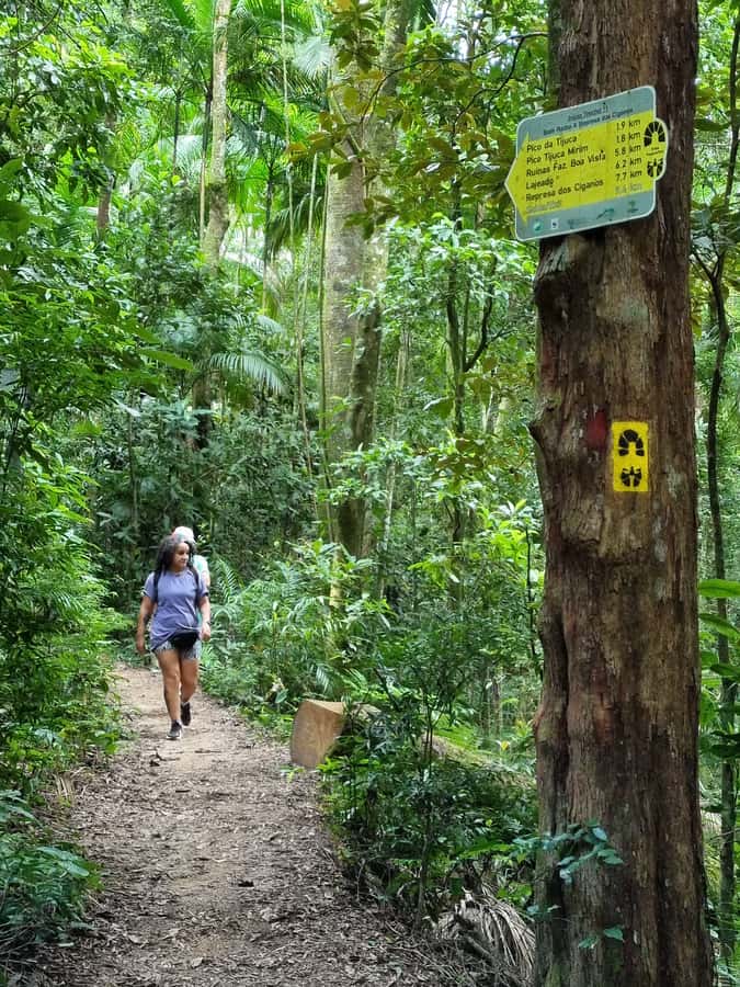 Rio: Private Tour 5 Hours Customized Tour With a Local Guide - The real value of the $109 price