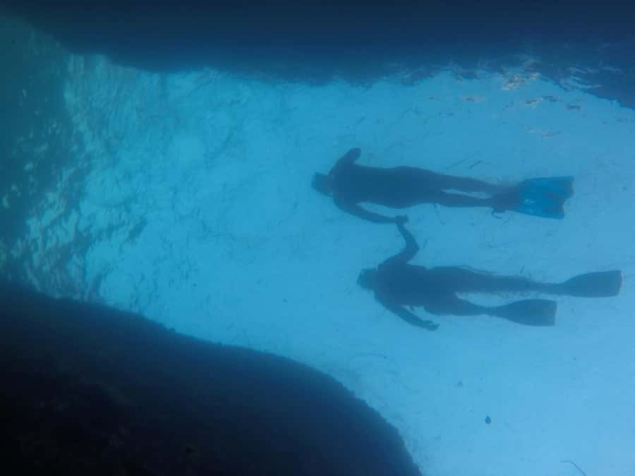 Rio: Snorkel & Swim with Turtles Tour at Tijuca Islands - Setting out from Barra da Tijuca