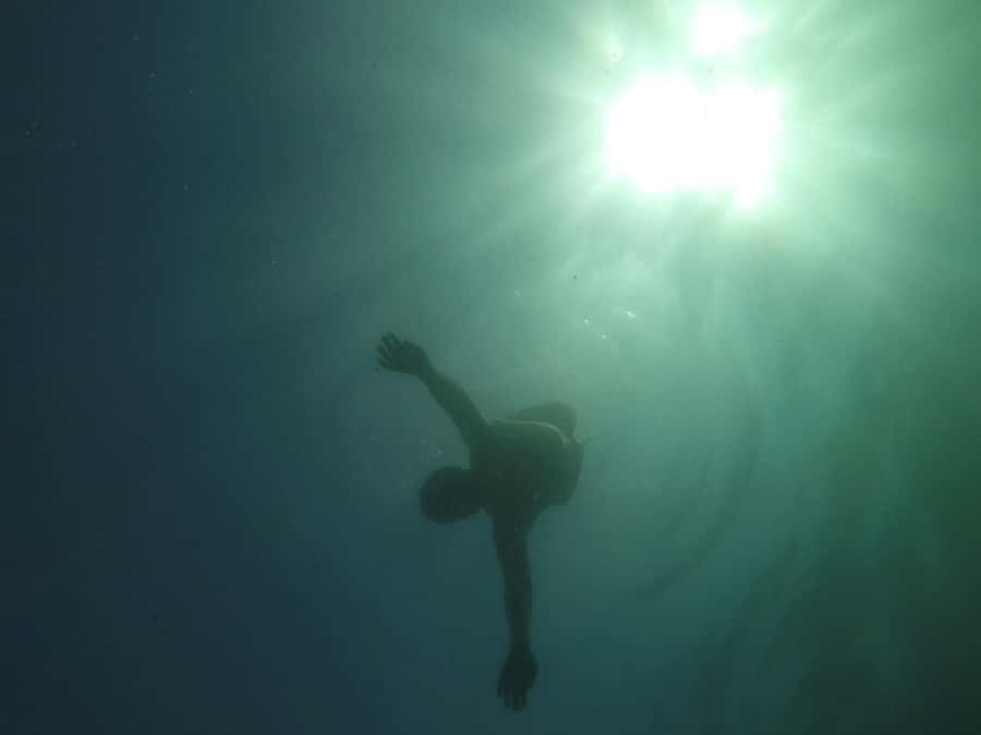 Rio: Snorkel & Swim with Turtles Tour at Tijuca Islands - FAQ
