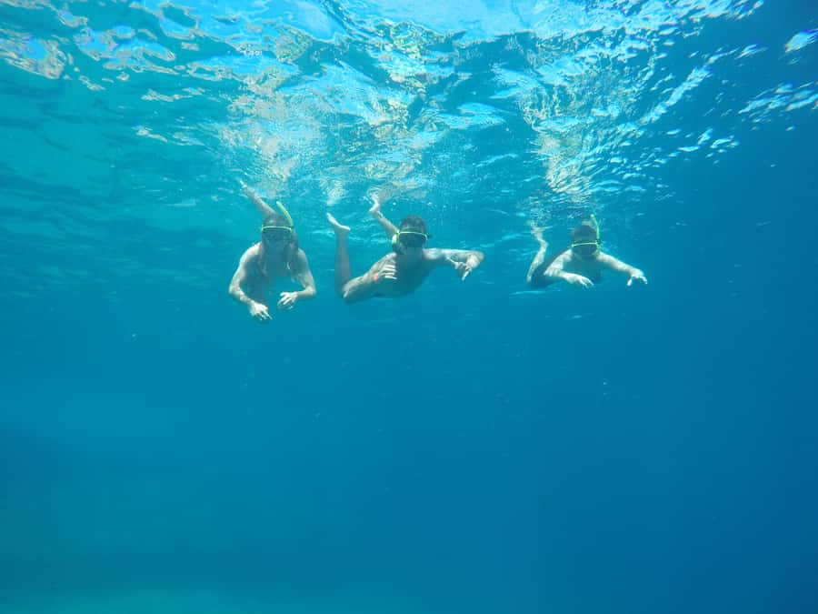 Rio: Snorkel & Swim with Turtles Tour at Tijuca Islands - Reaching the Tijuca Islands by speedboat