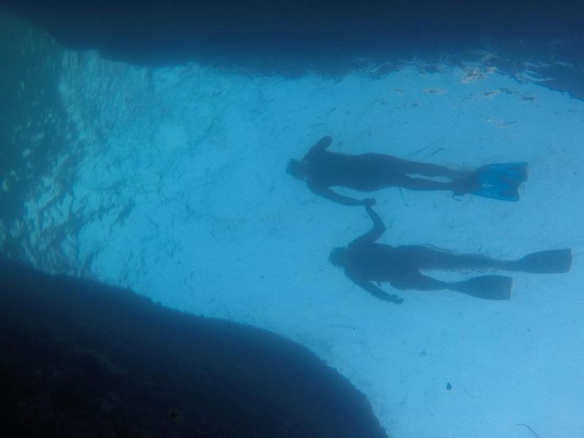 Rio: Snorkel & Swim with Turtles Tour at Tijuca Islands - What you will and will not receive