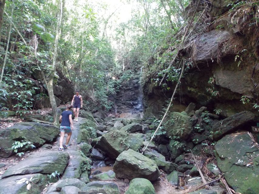 Rio: Tijuca Forest & Horto Waterfalls Circuit Tour - Key points before you book
