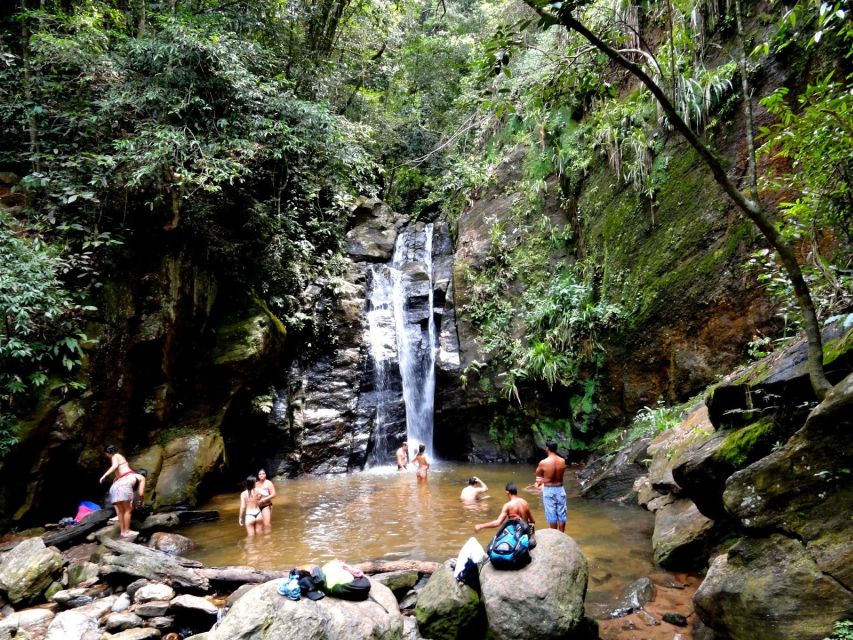 Rio: Tijuca Forest & Horto Waterfalls Circuit Tour - A possible Chinese lookout detour
