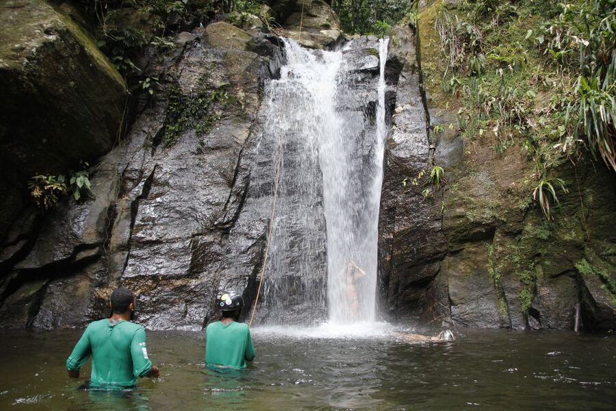 Rio: Tijuca Forest & Horto Waterfalls Circuit Tour - How hard is the hike?