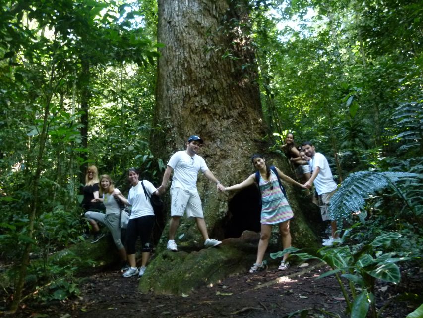 Rio: Tijuca Forest & Horto Waterfalls Circuit Tour - What the $56 price gets you