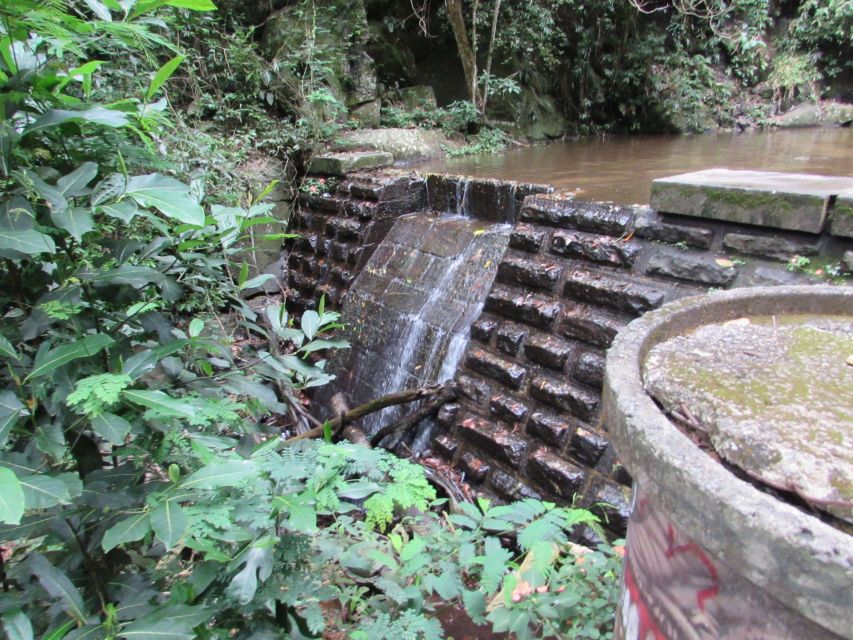 Rio: Tijuca Forest & Horto Waterfalls Circuit Tour - The Horto Waterfall Trail is more than a paved walk