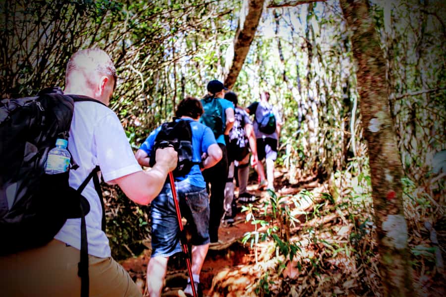 Rio: Tijuca Forest Small Group Hike to Caves and Waterfalls - Is the $69 price good value?