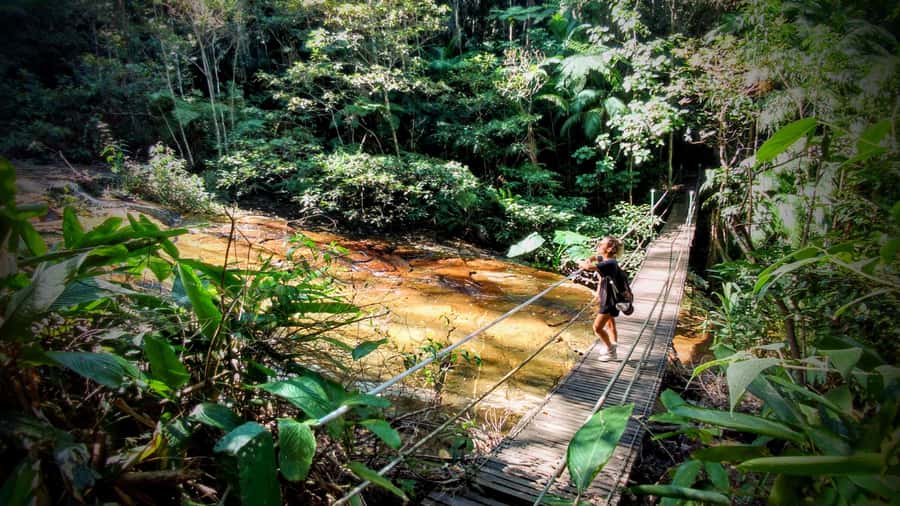 Rio: Tijuca Forest Small Group Hike to Caves and Waterfalls - Why this Tijuca Forest hike is worth your Rio morning