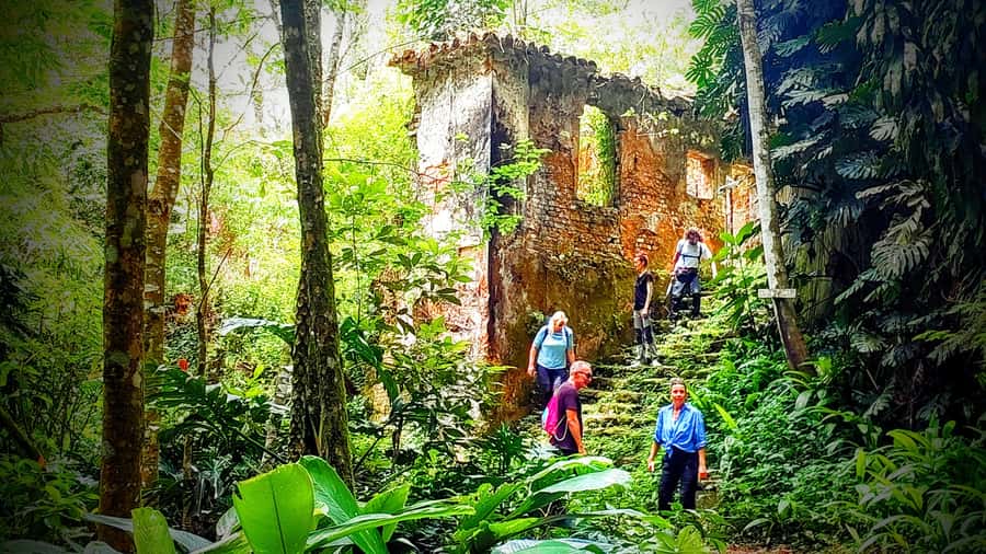 Rio: Tijuca Forest Small Group Hike to Caves and Waterfalls - Cova da Onça and the forest’s difficult past
