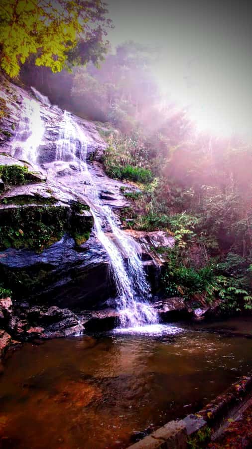 Rio: Tijuca Forest Small Group Hike to Caves and Waterfalls - What the guides add to the walk
