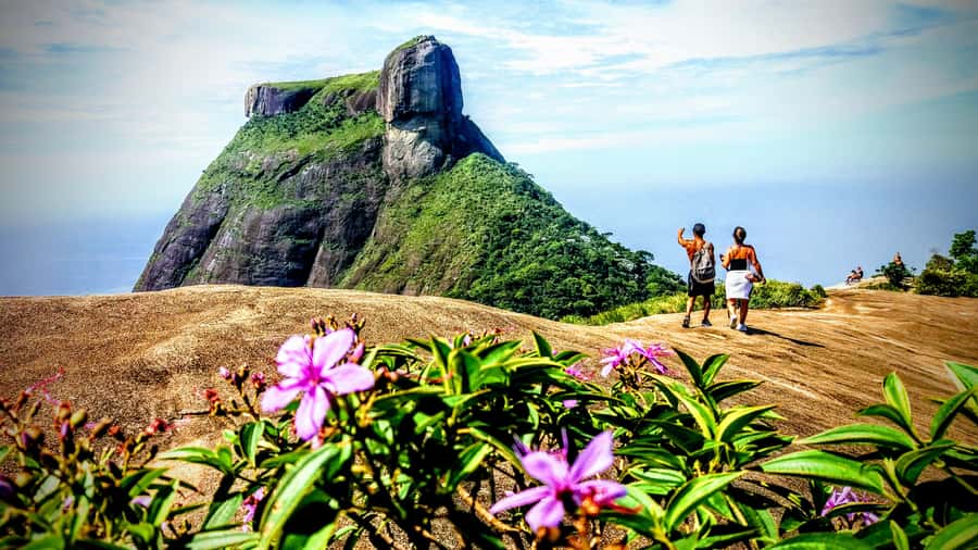 Rio: Tijuca National Park Small-Group Hike to Pedra Bonita - What to pack for the rainforest