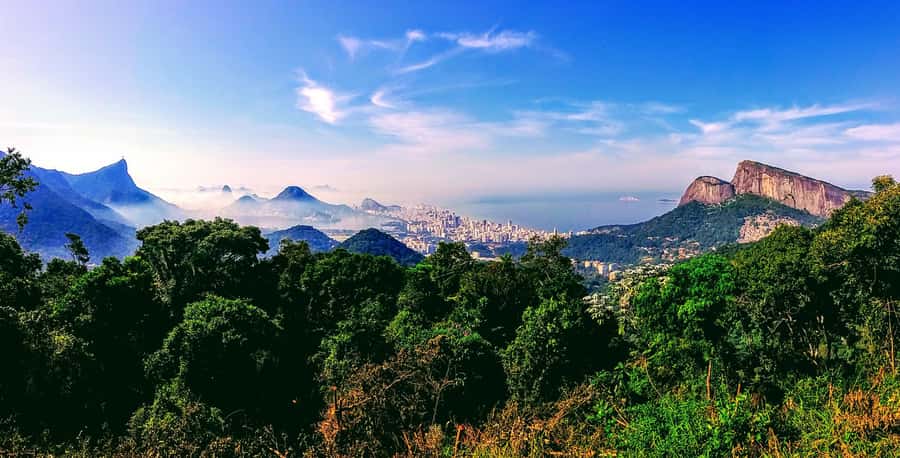 Rio: Tijuca National Park Small-Group Hike to Pedra Bonita - The summit at 696 meters