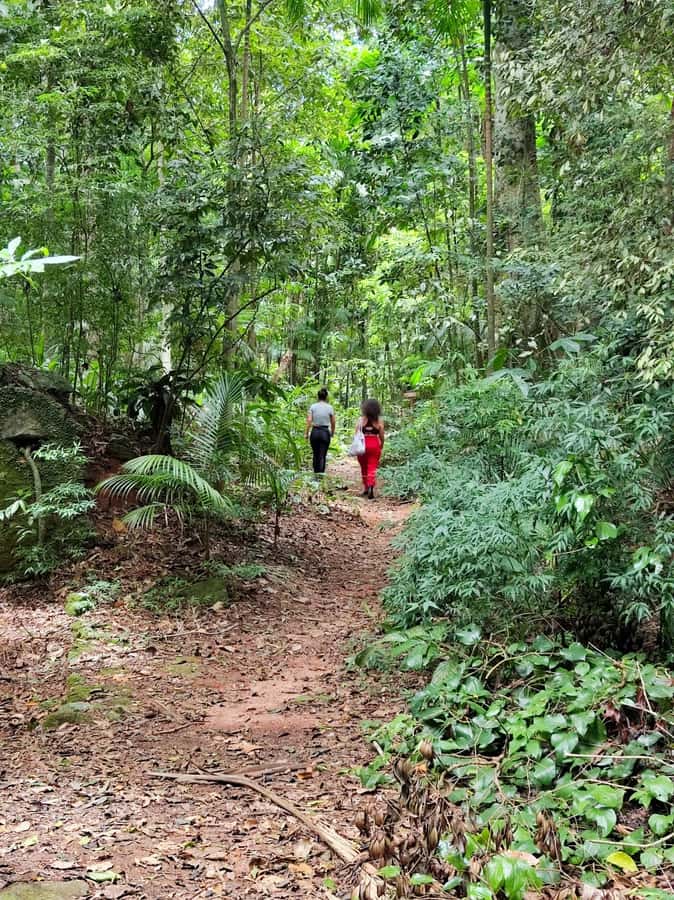 Tijuca Forest´s hike: caves, waterfalls and great views - Four hours through the historical circuit