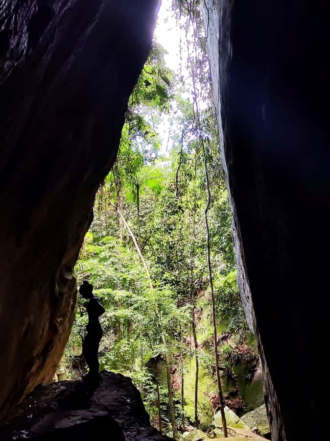 Tijuca Forest´s hike: caves, waterfalls and great views - Caves, streams, and the feel of the rainforest