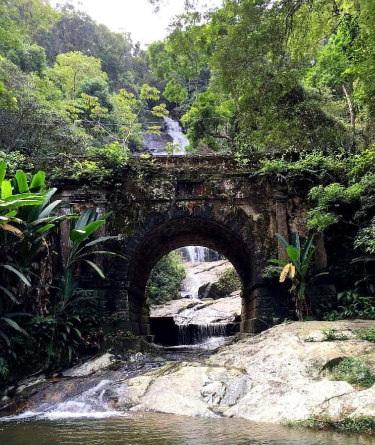 Tijuca Forest´s hike: caves, waterfalls and great views - Cachoeira das Almas and the swimming stop