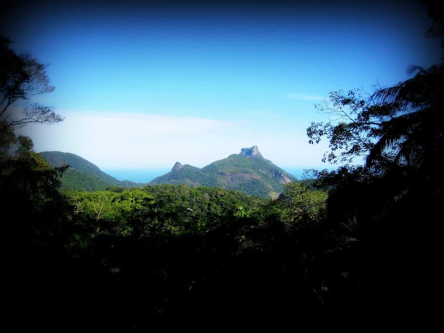 Tijuca Forest´s hike: caves, waterfalls and great views - The guide makes a practical difference