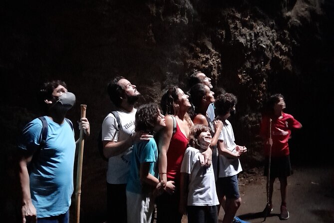 Tijuca National Park and all its wonders - How strenuous is the hike?