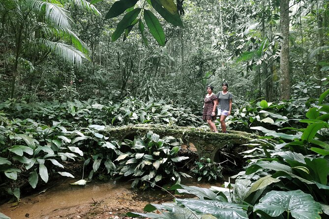 Tijuca National Park and all its wonders - Small groups and the value of personal attention