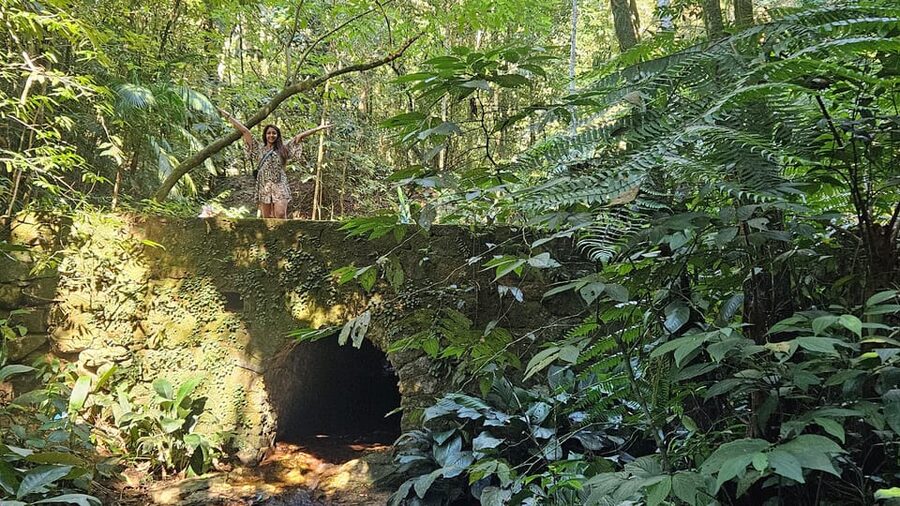 Tijuca National Park and all its wonders! - What to pack for four hours in the forest