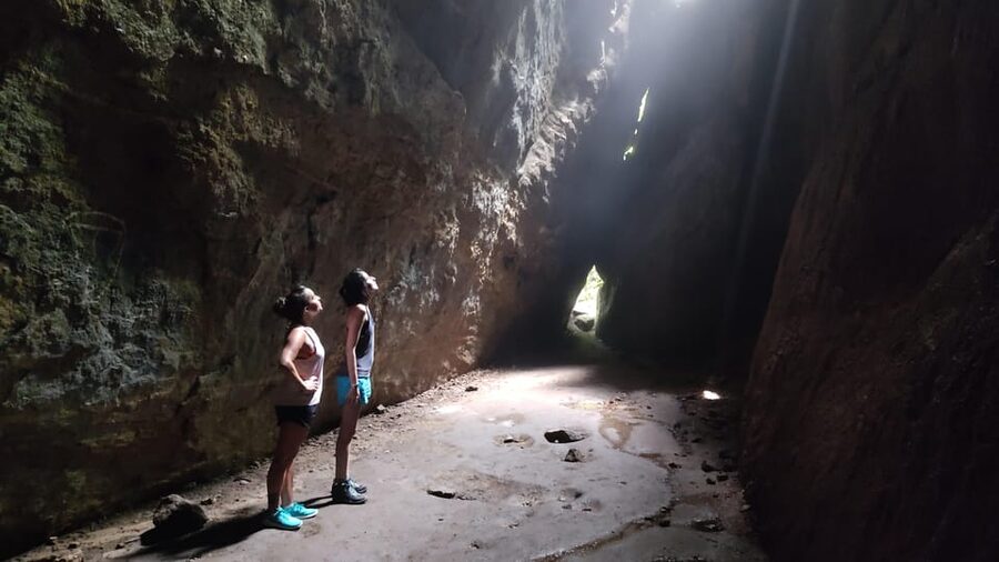 Tijuca National Park and all its wonders! - Languages, timing, and practical limits